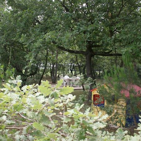 Villa Susanna カスティリオーネ・デル・ラーゴ エクステリア 写真